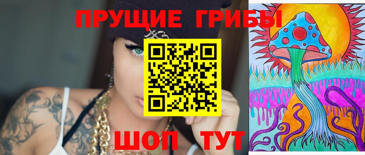 Севастополь  Псилоцибиновые грибы прущие грибы  Вход с VPN 