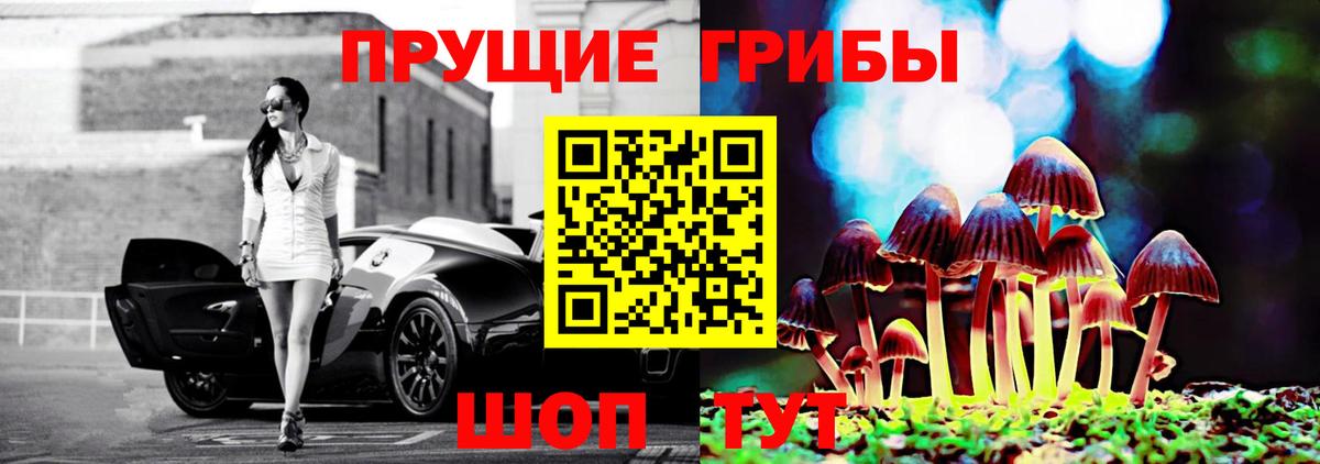 Псилоцибиновые грибы Psilocybe Севастополь